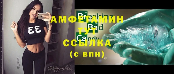 гидра Кодинск