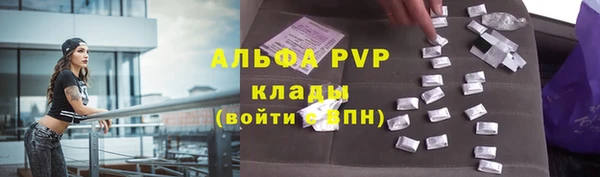 гидра Кодинск