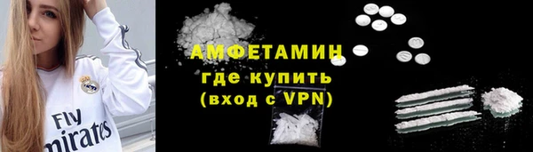 гидра Кодинск