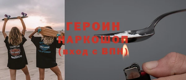 гидра Кодинск
