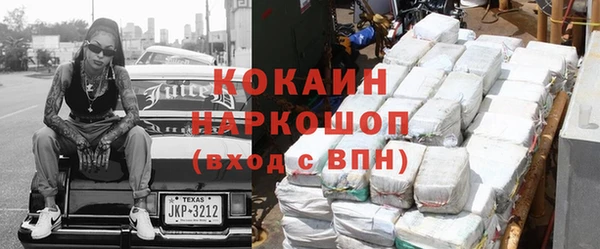 гидра Кодинск