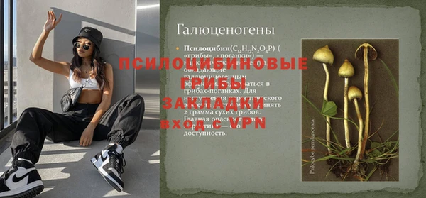 гидра Кодинск