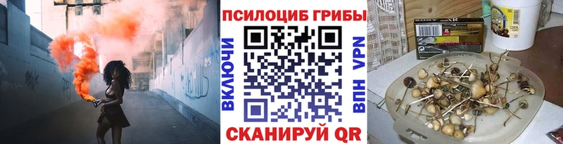 даркнет сайт  мега ссылки  Псилоцибиновые грибы мицелий  Мелеуз 