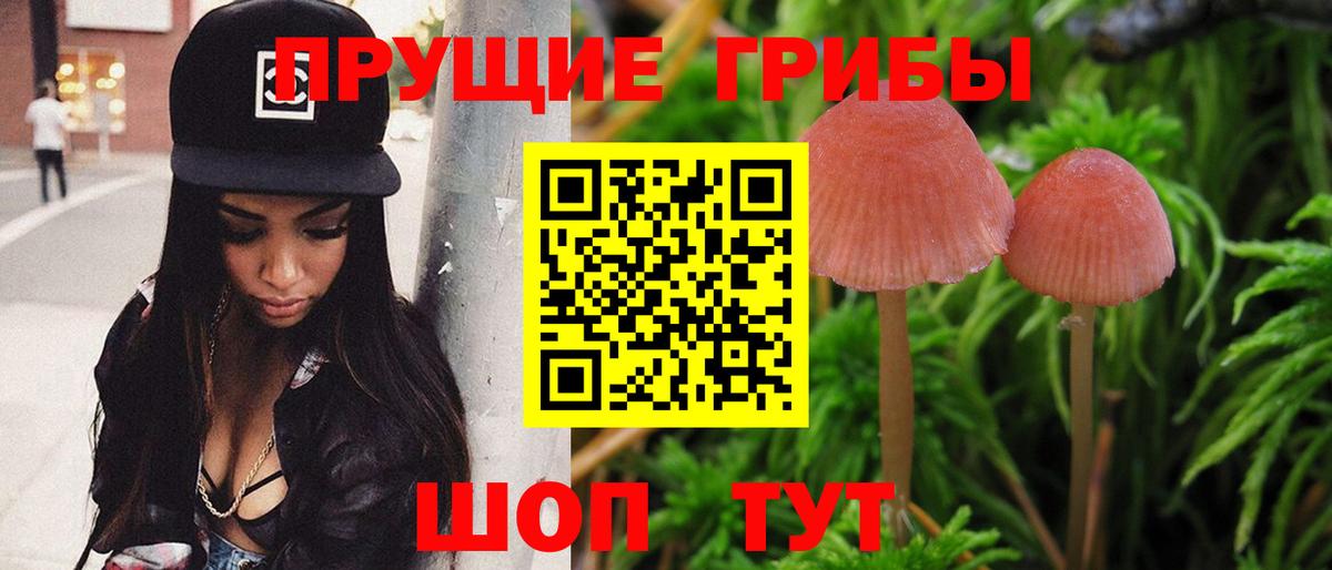 Мелеуз  Галлюциногенные грибы GOLDEN TEACHER  Вход с VPN 
